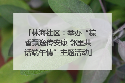 林海社区：举办“粽香飘逸传安康 邻里共话端午情”主题活动