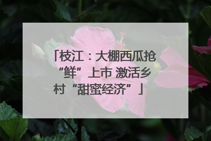 枝江：大棚西瓜抢“鲜”上市 激活乡村“甜蜜经济”