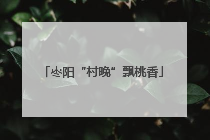 枣阳“村晚”飘桃香