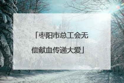 枣阳市总工会无偿献血传递大爱