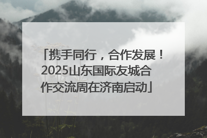 携手同行，合作发展！2025山东国际友城合作交流周在济南启动