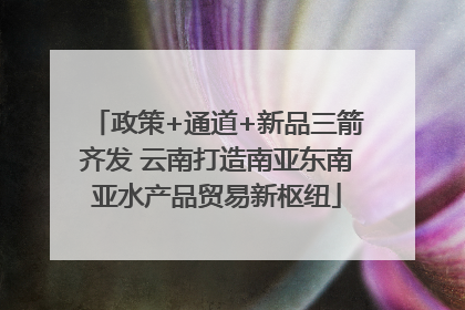 政策+通道+新品三箭齐发 云南打造南亚东南亚水产品贸易新枢纽