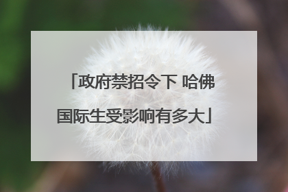 政府禁招令下 哈佛国际生受影响有多大