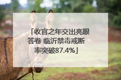 收官之年交出亮眼答卷 临沂禁毒戒断率突破87.4%
