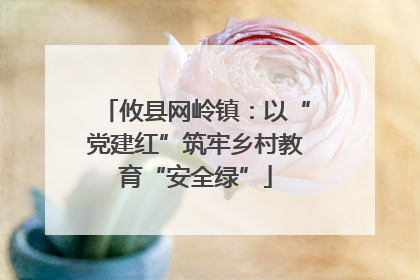 攸县网岭镇：以“党建红”筑牢乡村教育“安全绿”