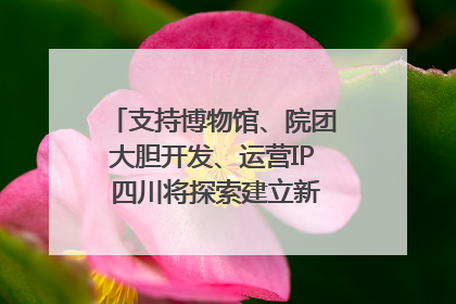 支持博物馆、院团大胆开发、运营IP 四川将探索建立新的收入分配激励机制｜新闻发布最前线