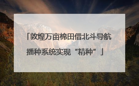 敦煌万亩棉田借北斗导航播种系统实现“精种”