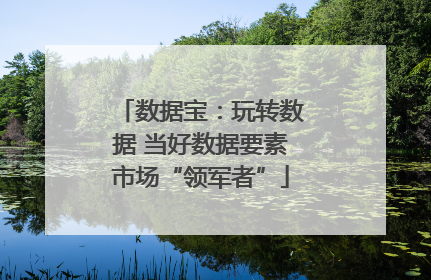 数据宝：玩转数据 当好数据要素市场“领军者”