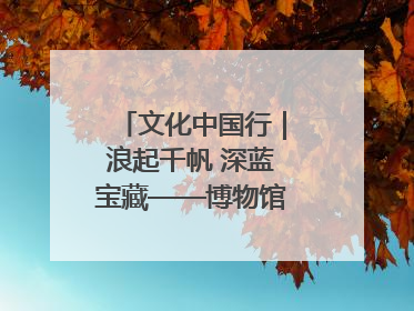 文化中国行｜浪起千帆 深蓝宝藏——博物馆里的海丝遗珍