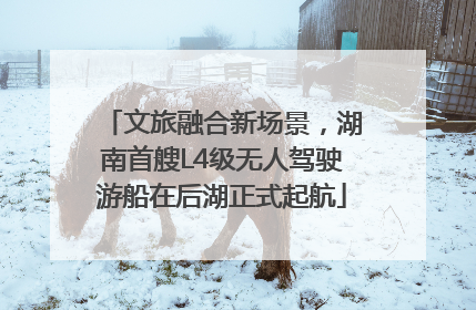 文旅融合新场景，湖南首艘L4级无人驾驶游船在后湖正式起航