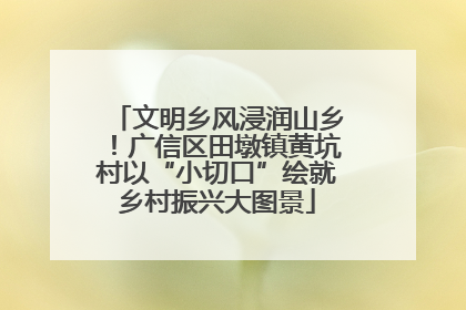 文明乡风浸润山乡！广信区田墩镇黄坑村以“小切口”绘就乡村振兴大图景