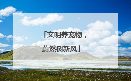 文明养宠物，蔚然树新风