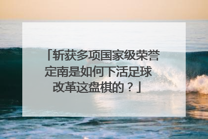 斩获多项国家级荣誉 定南是如何下活足球改革这盘棋的？
