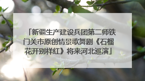 新疆生产建设兵团第二师铁门关市原创情景歌舞剧《石榴花开别样红》将来河北巡演
