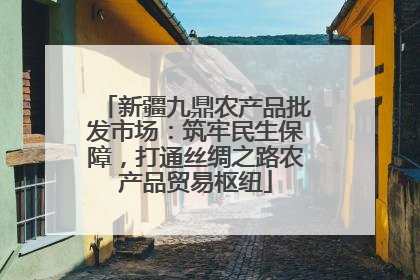新疆九鼎农产品批发市场：筑牢民生保障，打通丝绸之路农产品贸易枢纽