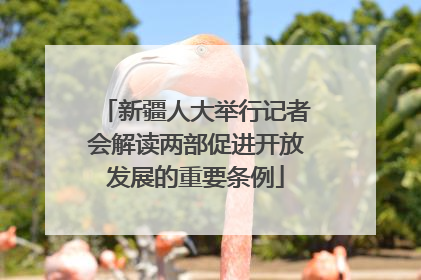 新疆人大举行记者会解读两部促进开放发展的重要条例