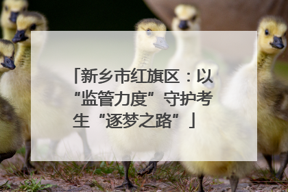新乡市红旗区：以“监管力度”守护考生“逐梦之路”