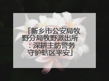 新乡市公安局牧野分局牧野派出所：深耕主防警务 守护辖区平安