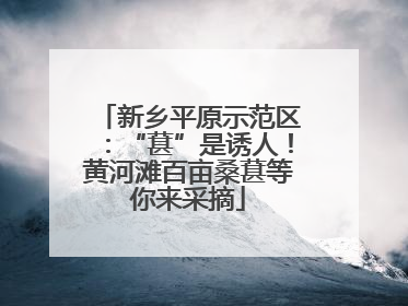 新乡平原示范区：“葚”是诱人！黄河滩百亩桑葚等你来采摘