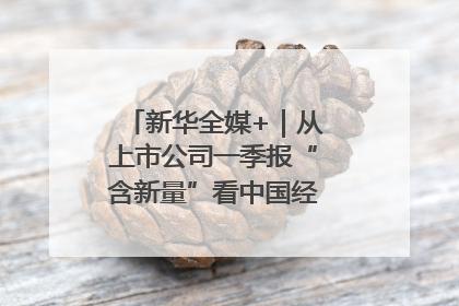 新华全媒+｜从上市公司一季报“含新量”看中国经济发展向“新”
