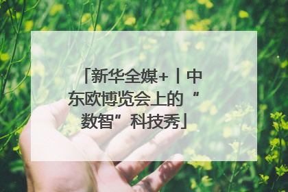 新华全媒+丨中东欧博览会上的“数智”科技秀