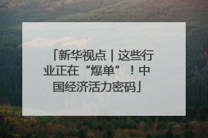 新华视点｜这些行业正在“爆单”！中国经济活力密码