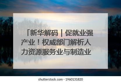 新华解码｜促就业强产业！权威部门解析人力资源服务业与制造业融合发展试点