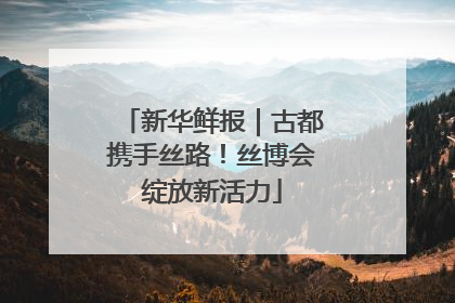 新华鲜报｜古都携手丝路！丝博会绽放新活力
