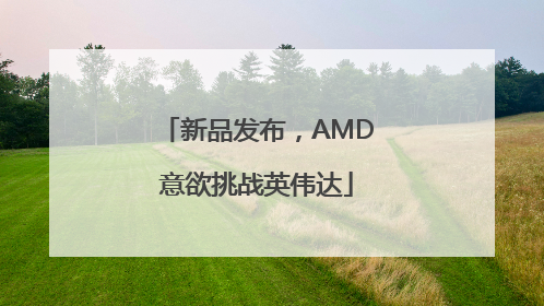 新品发布，AMD意欲挑战英伟达