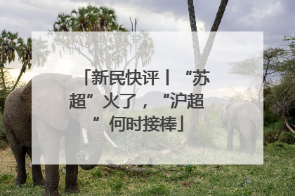 新民快评丨“苏超”火了，“沪超”何时接棒
