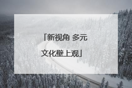 新视角 多元文化壁上观