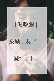 时政眼｜友城，友“诚”！