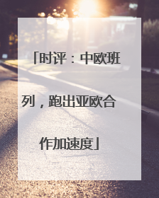 时评：中欧班列，跑出亚欧合作加速度