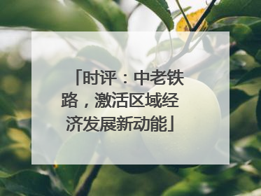 时评：中老铁路，激活区域经济发展新动能