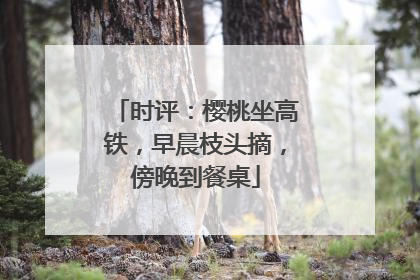 时评：樱桃坐高铁，早晨枝头摘，傍晚到餐桌