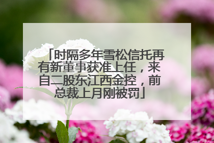 时隔多年雪松信托再有新董事获准上任，来自二股东江西金控，前总裁上月刚被罚