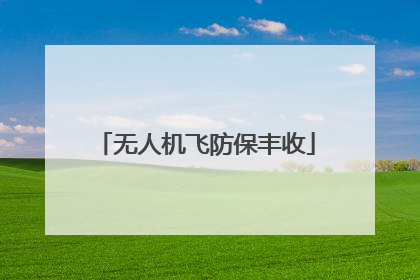 无人机飞防保丰收