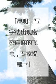 昆明一写字楼出现密密麻麻的飞虫，专家提醒→