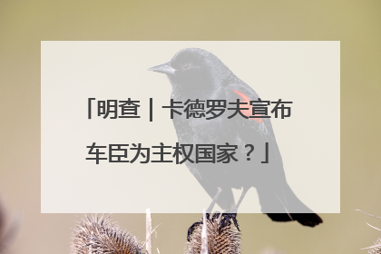 明查｜卡德罗夫宣布车臣为主权国家？
