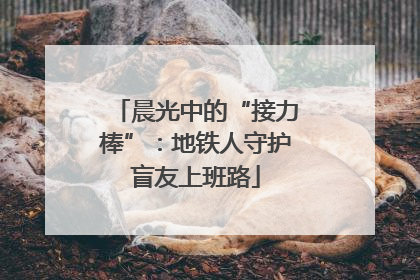 晨光中的“接力棒”：地铁人守护盲友上班路
