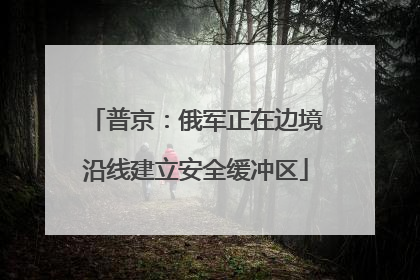 普京：俄军正在边境沿线建立安全缓冲区