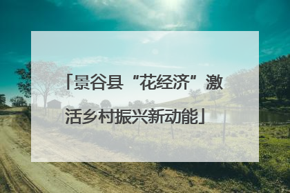 景谷县“花经济”激活乡村振兴新动能