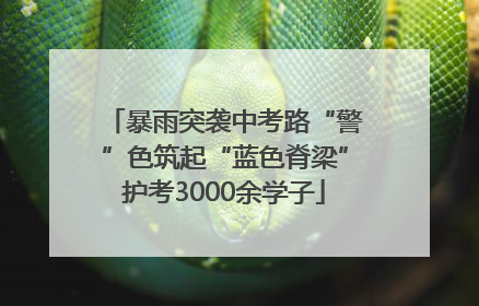 暴雨突袭中考路“警”色筑起“蓝色脊梁”护考3000余学子