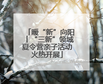 暖“新”向阳丨“三新”领域夏令营亲子活动火热开展
