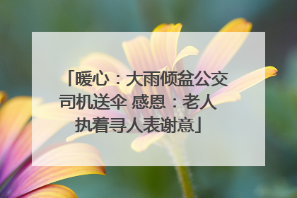 暖心：大雨倾盆公交司机送伞 感恩：老人执着寻人表谢意