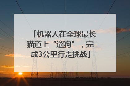 机器人在全球最长猫道上“遛狗”，完成3公里行走挑战