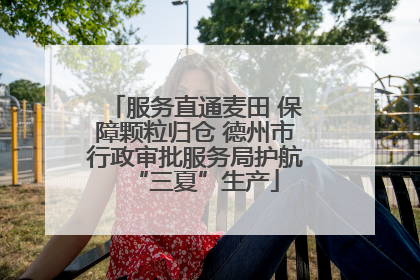 服务直通麦田 保障颗粒归仓 德州市行政审批服务局护航“三夏”生产