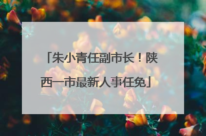 朱小青任副市长！陕西一市最新人事任免