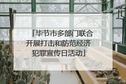 毕节市多部门联合开展打击和防范经济犯罪宣传日活动