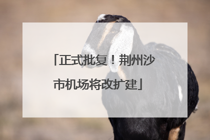 正式批复！荆州沙市机场将改扩建